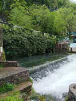 Экскурсия "Гранд-тур Абхазия: Гагра, Мандариновый сад, Рица и Новый Афон" - фото отзыва 3