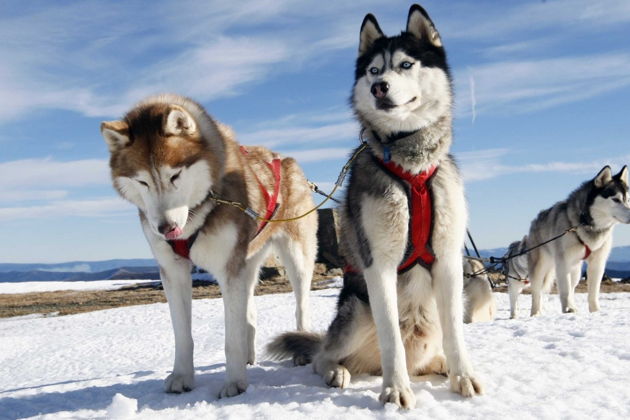 Виды Премиум-тур «Новогодняя Рускеала» в доме на воде