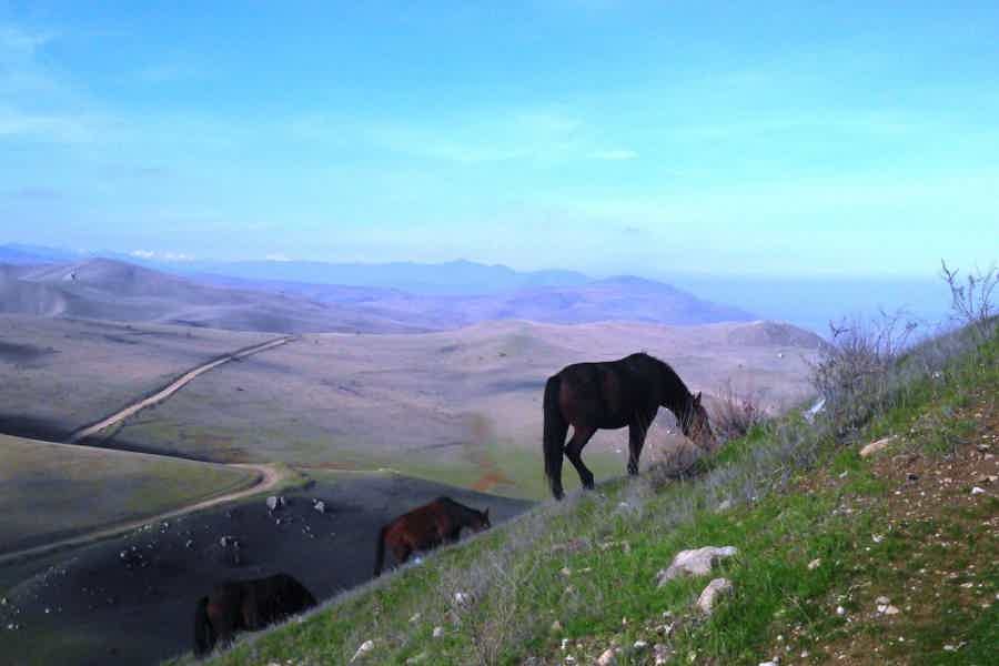 Сверкание агатов в горах Хызы - фото 6
