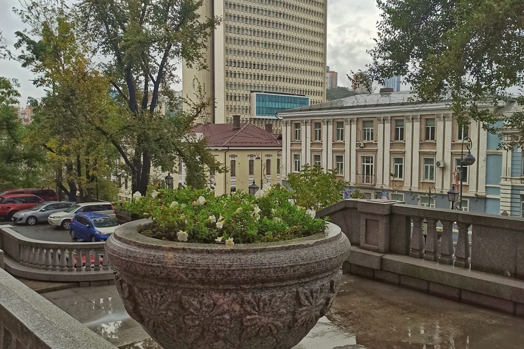 Пешеходные экскурсии по центральным улицам Владивостока — фото 7