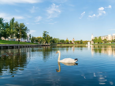 Лебединое озеро