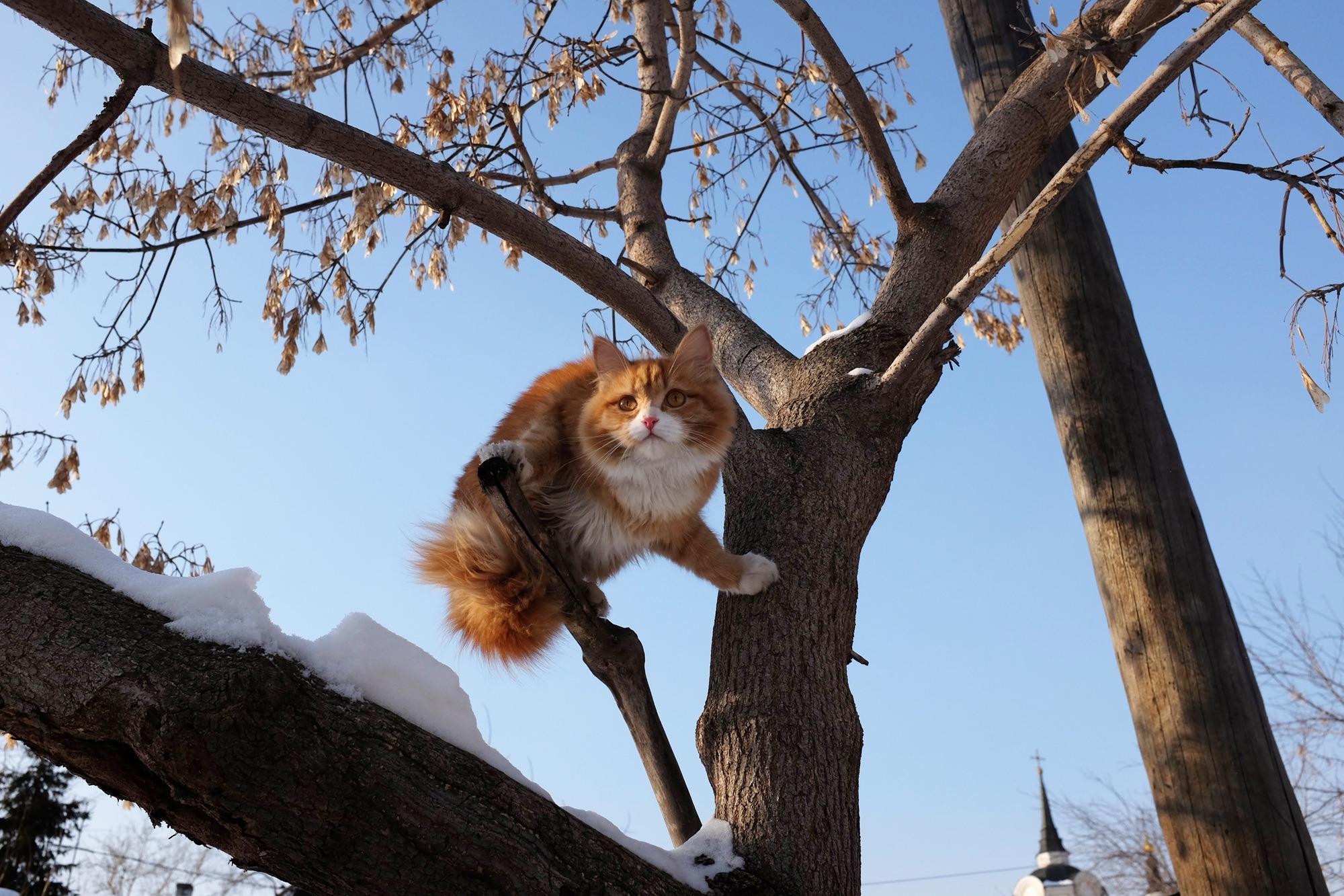 Маршрут Томск