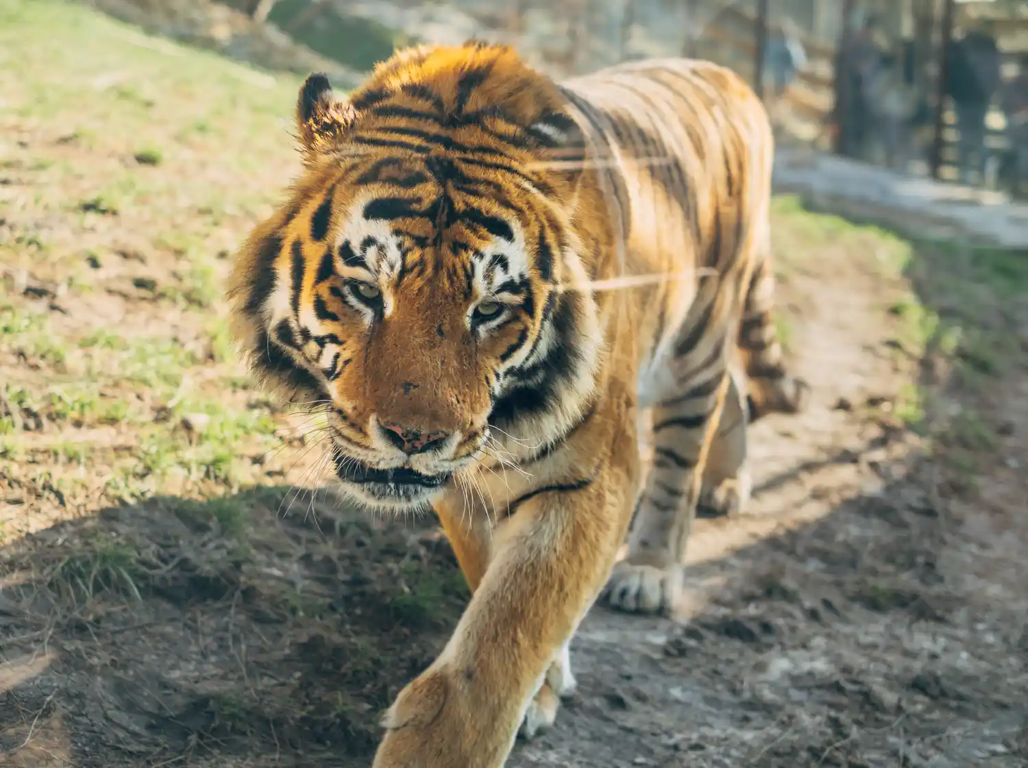 gelendzhik Safari Park