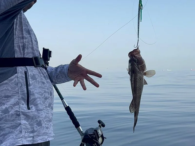 Fishing in Fujairah: Tuna, Mahi-Mahi — photo 5, Dubai | Pokataem