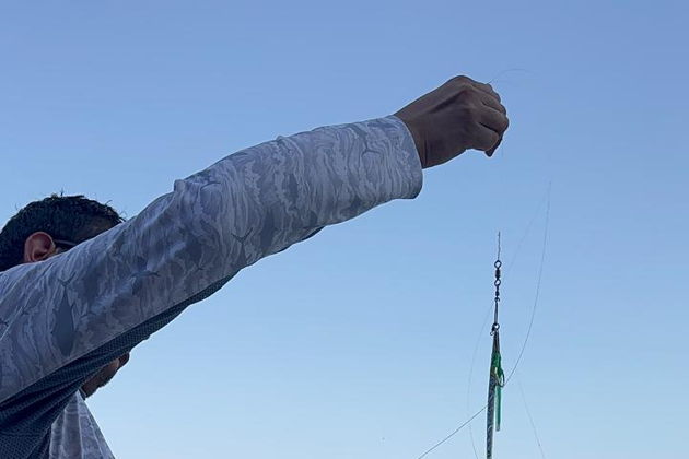 Виды Рыбалка на Фуджейре: тунец, махи-махи