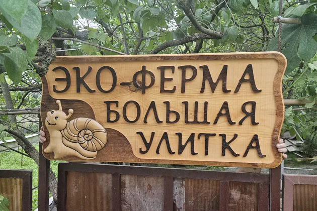 Эко-ферма «Большая улитка» — первая уличтоная ферма в АдлереВсе включено. — экскурсия, Сочи | Покатаем