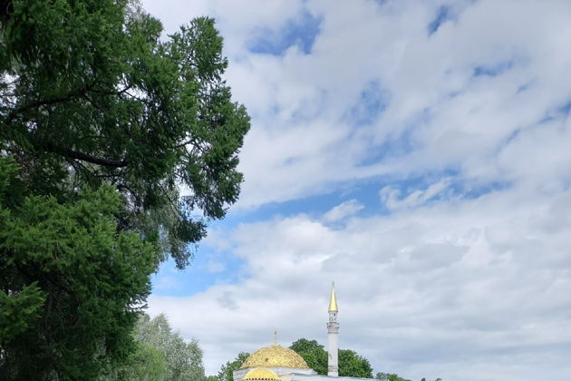 Виды В Екатерининский и Александровский дворцы и парки — на комфортабельном авто