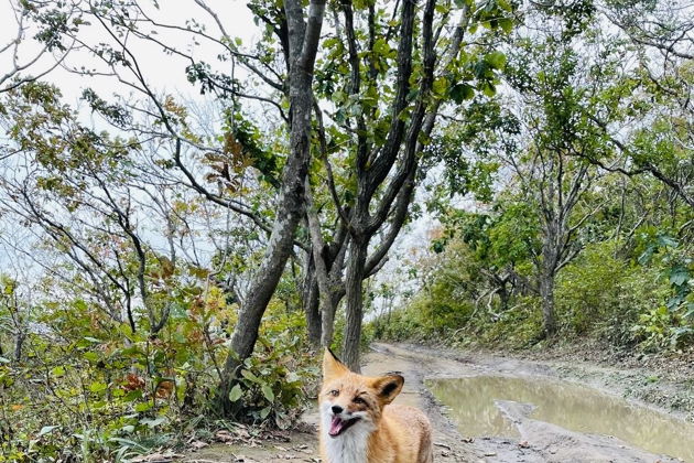 Виды Экскурсия на мыс Тобизина  в мини-группе 