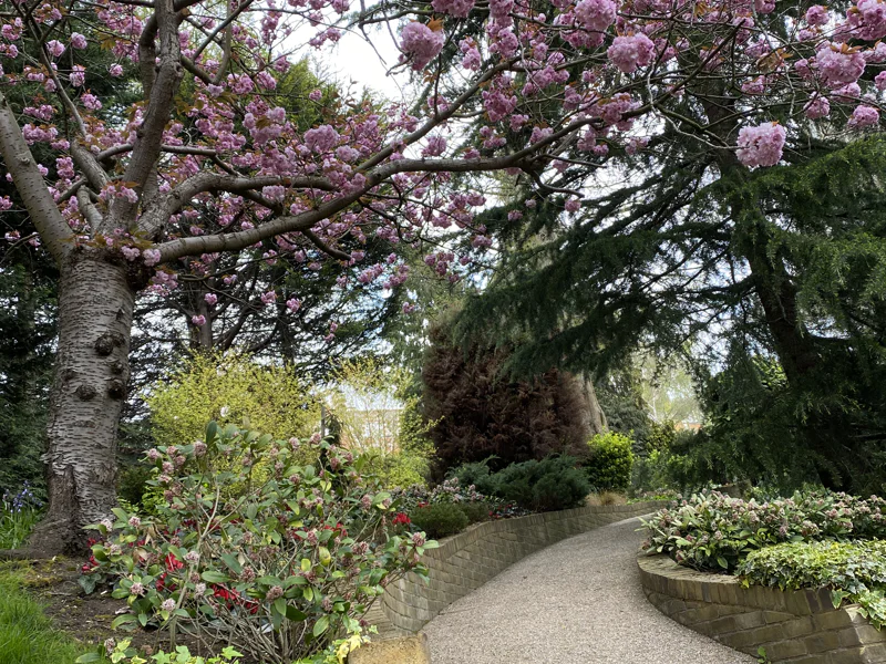 Прогулка по St John’s Wood — фото 4, Лондон | Покатаем
