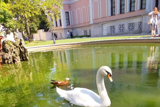 Виды Дворец Долма Бахче: Гарем, Селямлик, Картинная галерея
