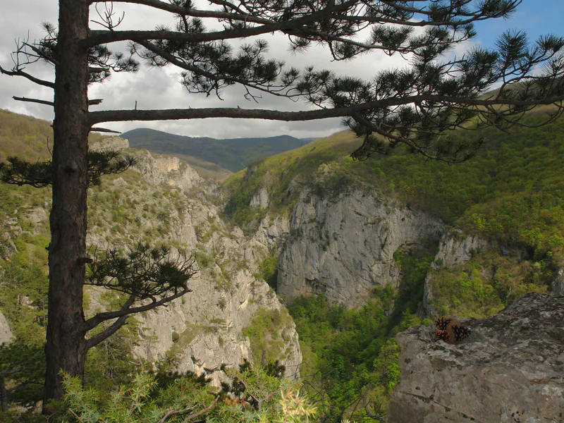 В Большой каньон Крыма — фото 3, Севастополь | Покатаем