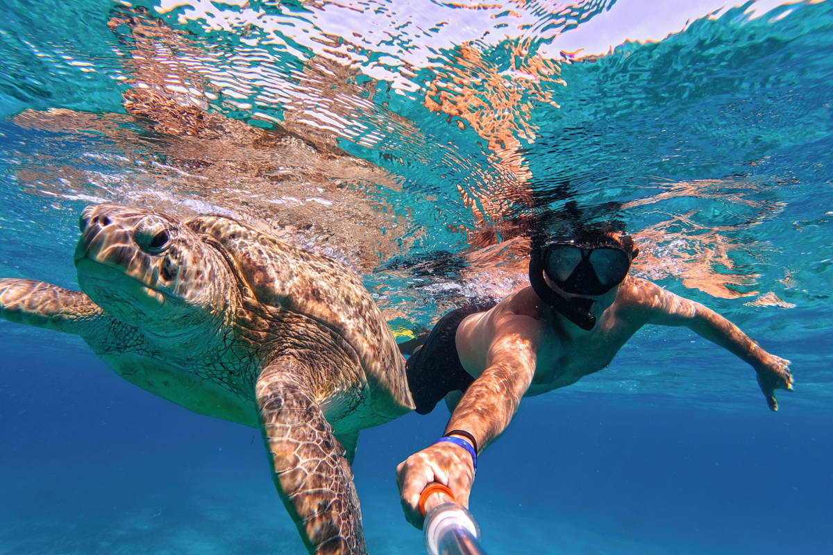 Мирисса: снорклинг с морскими черепахами в кристально чистых водах