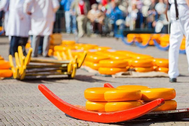 Главное изображение экскурсии - Голландия для своих: сырный рынок в Алкмар