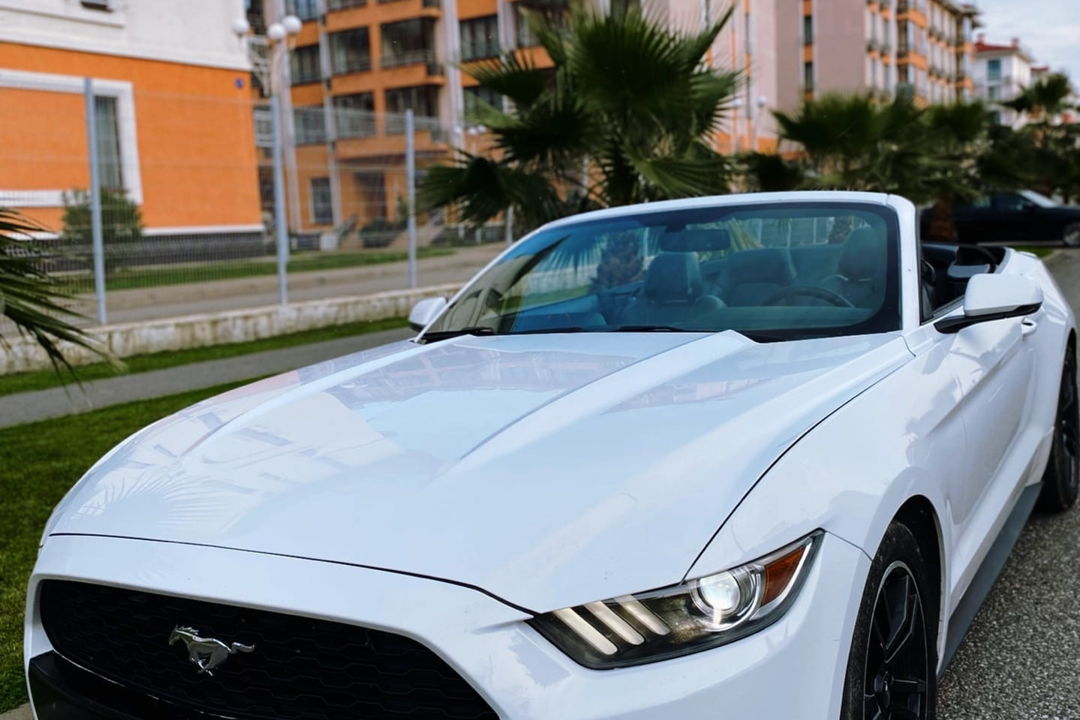 Горный драйв: на кабриолете Ford Mustang по Сочи и курортам Красной Поляны — фото 7