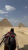 Экскурсия "Цитадель Каира — сердце Египта (Сфинкс и Пирамиды)на самолете(всё включено)" - фото отзыва 2