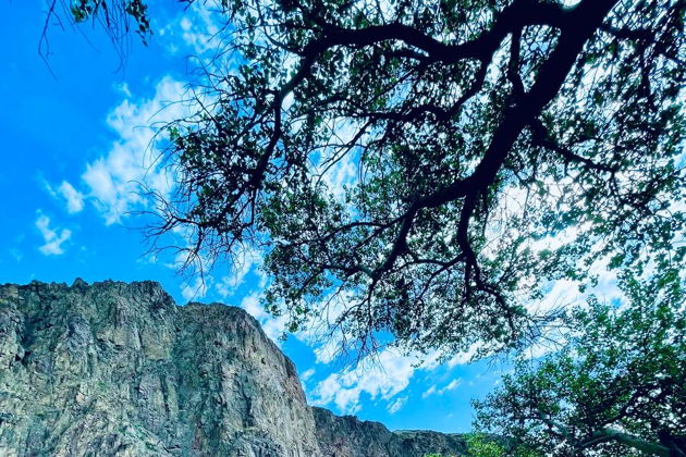 Виды Озеро Кольсай и Чарынский каньон из Алматы