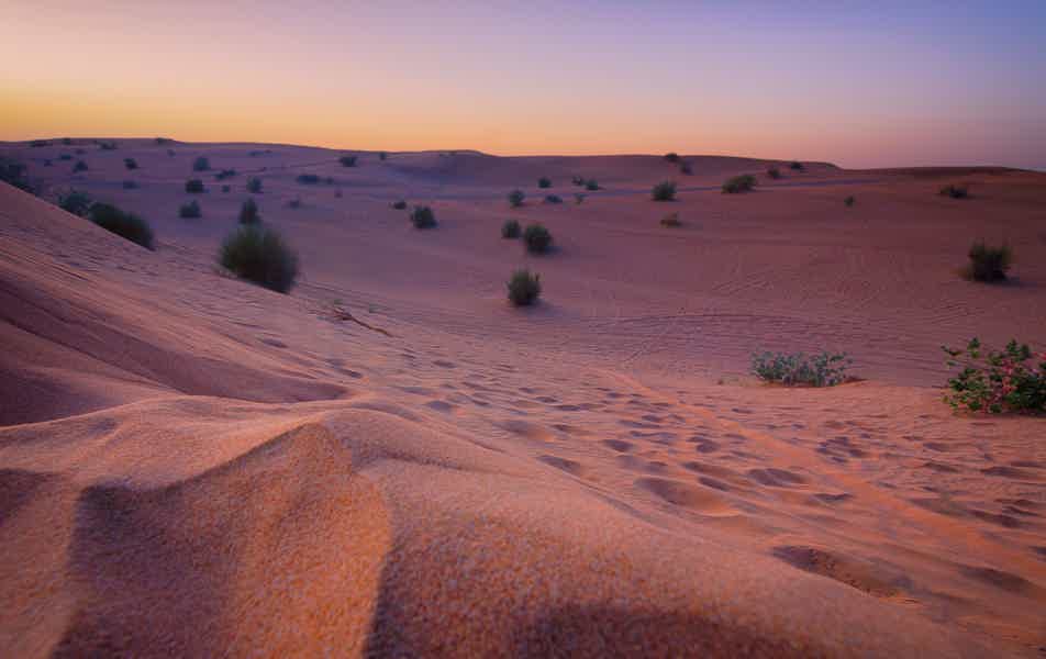 Half-Day Desert Safari & Camel Ride Local Guided Tour - photo 3