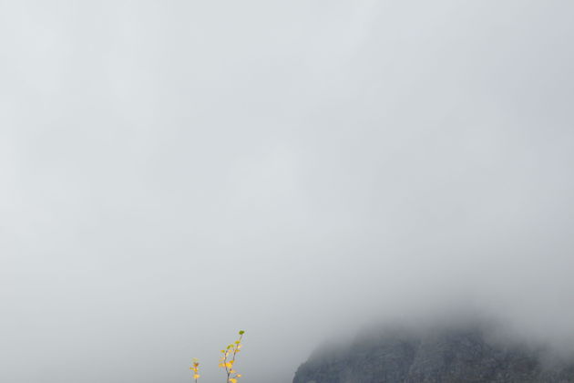 Виды Край северных морей