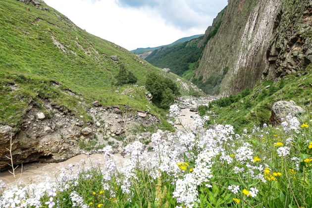Виды Горный вояж: суслики Джилы-Су в Приэльбрусье