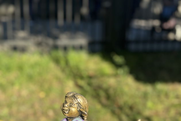 Виды Городские домовые