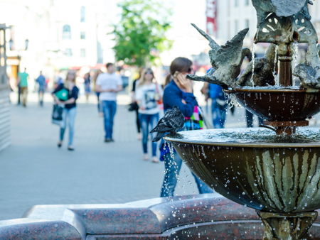 Фонтан с лягушками