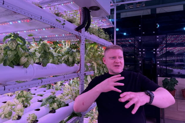 Виды Акваферма клариевого сома: экскурсия с дегустацией