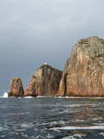 Экскурсия "Морское путешествие к островам Японского моря и морским котикам" - фото отзыва 5