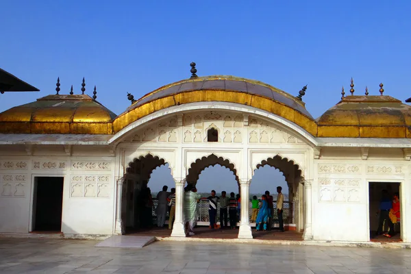 Taj Mahal Tour + Tiger Safari — photo 6, Delhi | Pokataem