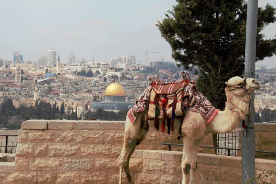 Иерусалим мусульманский - фото 4