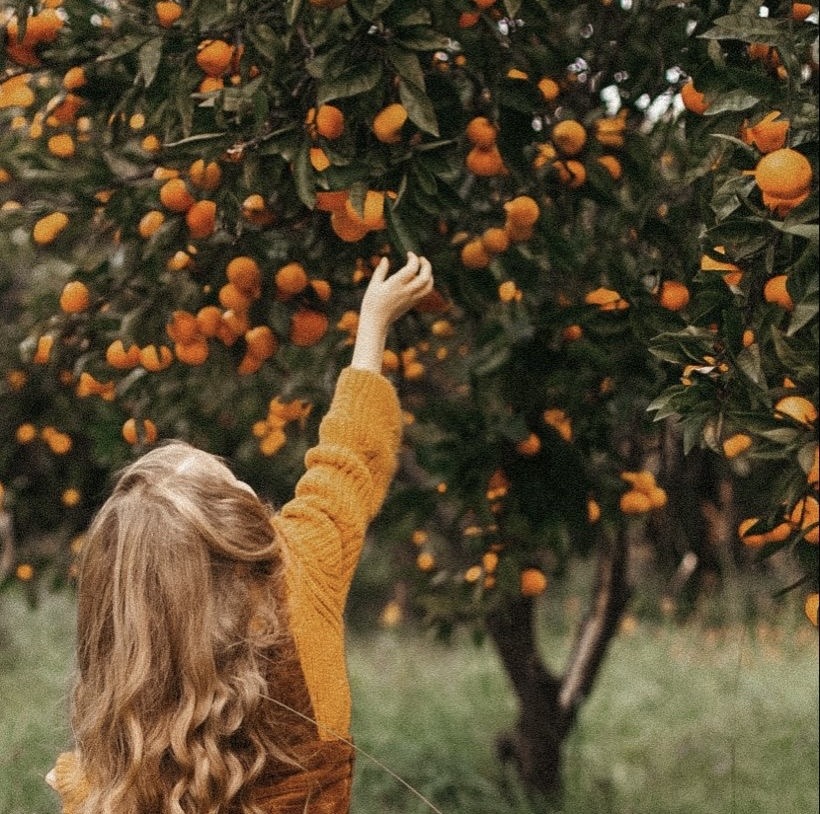 Восточная Апсны: Сухум, термальный источник Кындык и мандариновый сад🍊