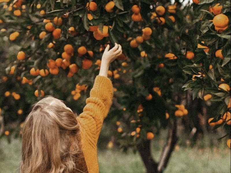 Восточная Апсны: Сухум, термальный источник Кындык и мандариновый сад🍊 - экскурсия в Сочи, Россия