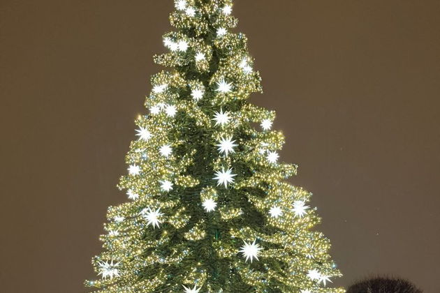 Фото к экскурсии Новогодняя пешеходная экскурсия по Санкт-Петербургу