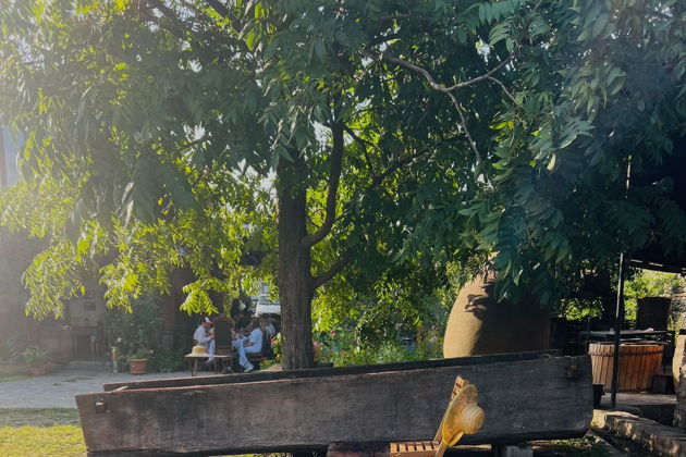 Виды Винный праздник Кахети: Ртвели с Тамадой