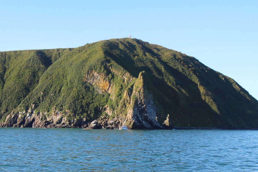 Морская прогулка по Тихому океану: сивучи, киты, рыбалка и краб — фото 2