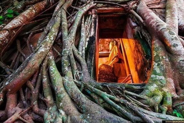 Виды Тайская Венеция из Бангкока