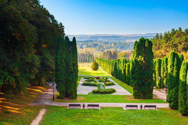 Виды Прогулка по вечернему Кисловодску: дегустация нарзана и шоу фонтанов