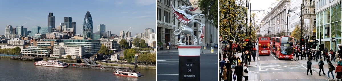 Индивидуальная экскурсия на автомобиле в Лондон - 8 часов (5/5)