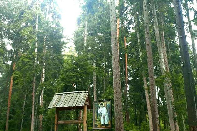 Виды Древний Уплисцихе и живая вода Боржоми