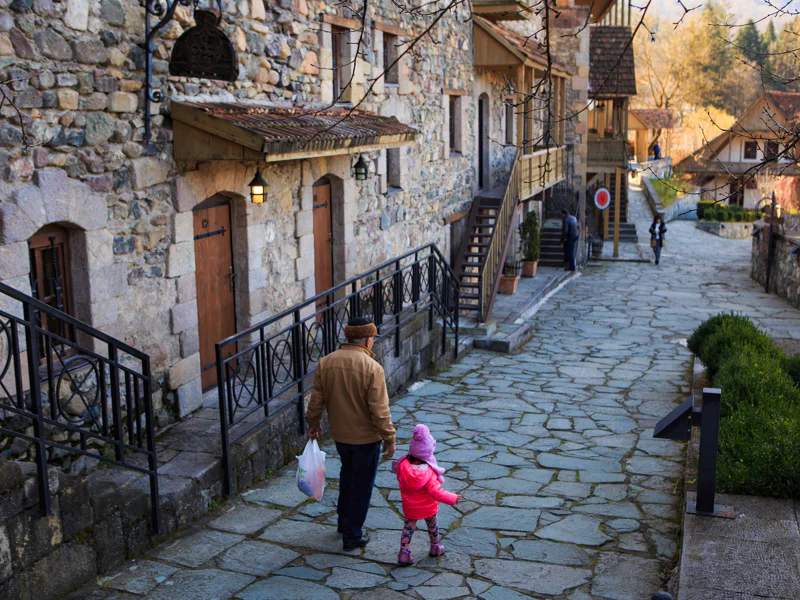 Озеро Севан и маленькая Швейцария Армении — Дилижан — фото 7, Ереван | Покатаем