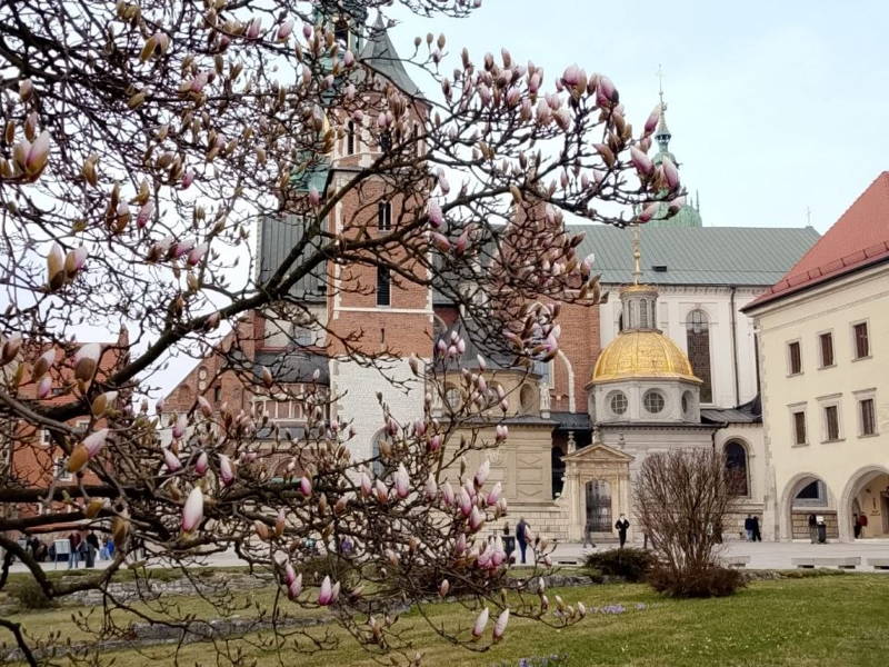Обзорная по Кракову: Старый город с Вавелем, Казимеж, гетто в Подгуже.