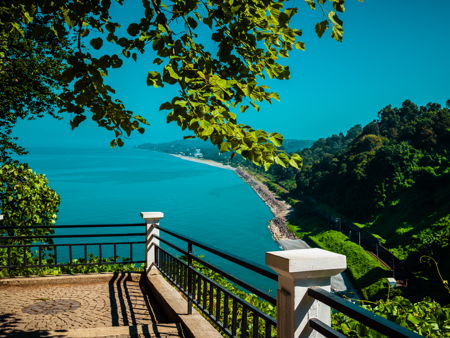 Ботанический сад