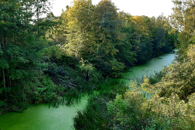Виды Держим путь на восток. Удивительные истории малых городов. 