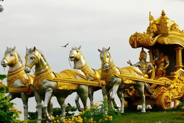 Сафари к тиграм и слонам