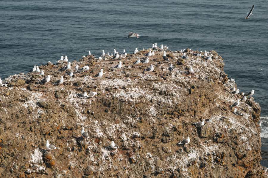 Восточный Сахалин: японские тории, бухта Тихая и водопад Клоковский - фото 4