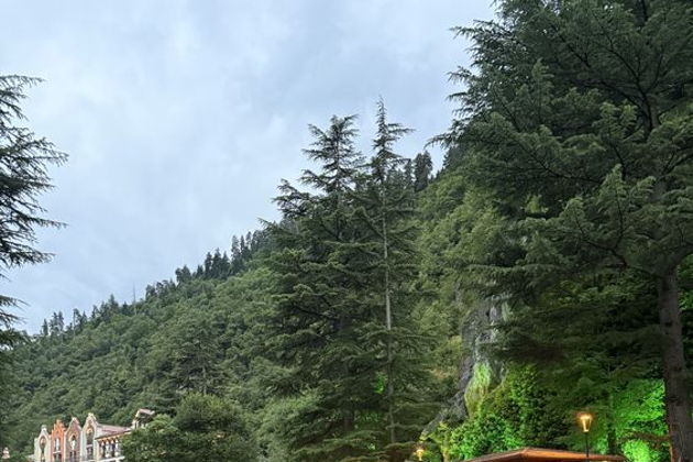 Виды Пещеры XII века: Древняя Вардзия и вечнозеленый Боржоми