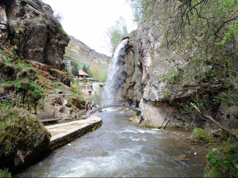 Альпака-парк и Медовые водопады: уютная поездка на полдня - фото 3