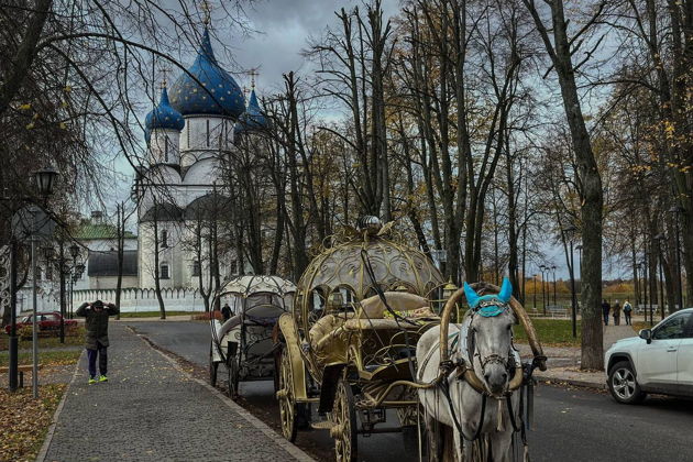 Фото к экскурсии Суздаль на автомобиле: город, который не увидишь пешком