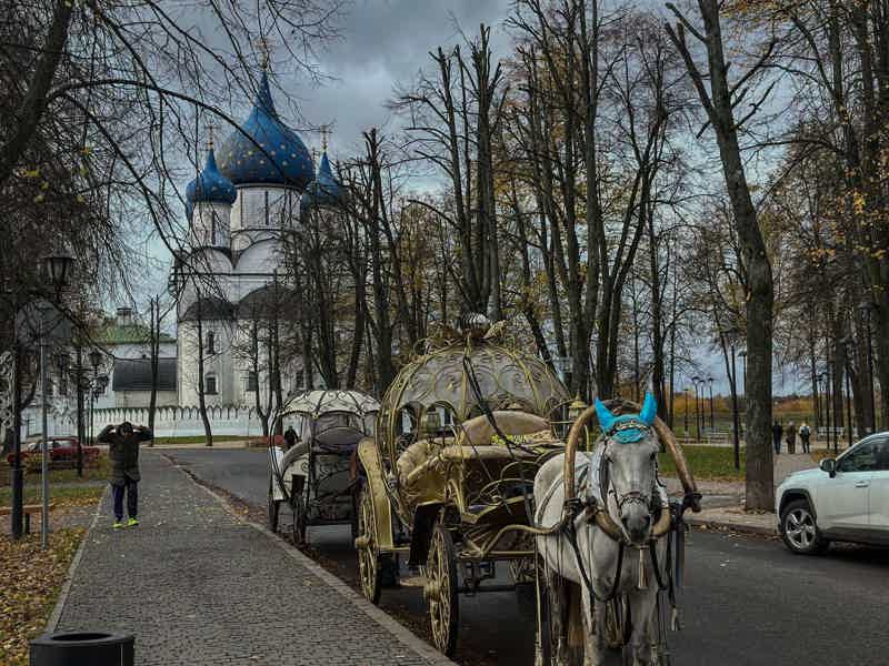Суздаль на автомобиле: город, который не увидишь пешком - фото 2