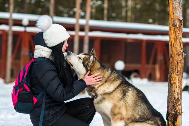 Виды Вотчина Карельского Деда Мороза, хаски и олени