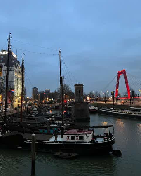 Авторская велосипедная экскурсия по всему Роттердаму  - фото 13